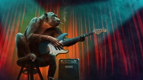 Chimpanzee 2