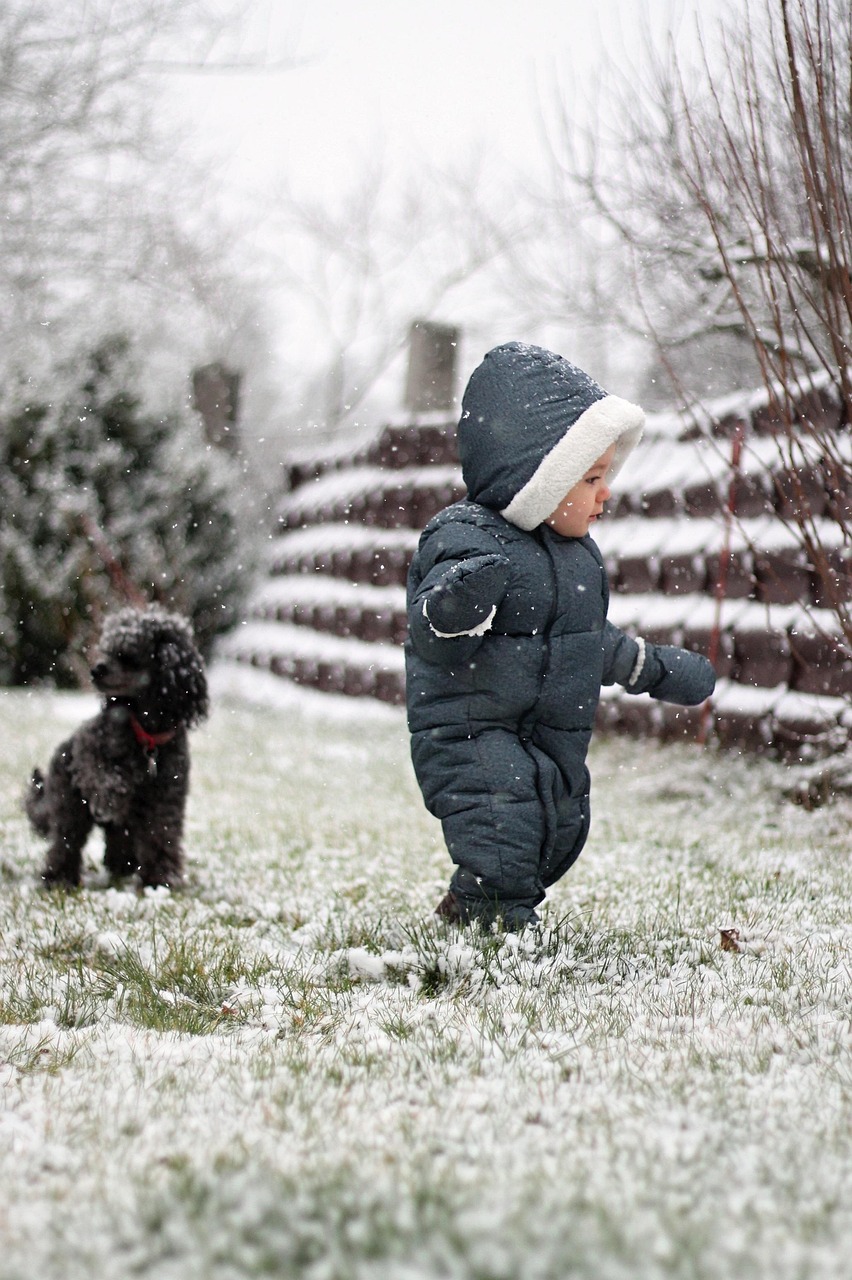 Caniche