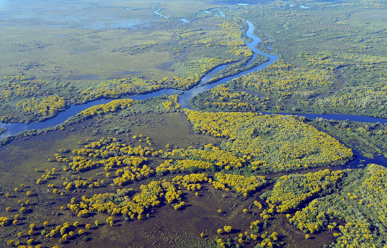 Pantanal Wetlands