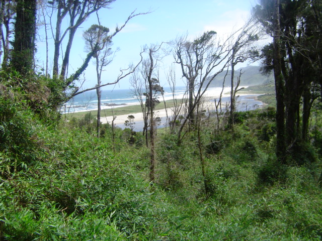 Chiloe Island