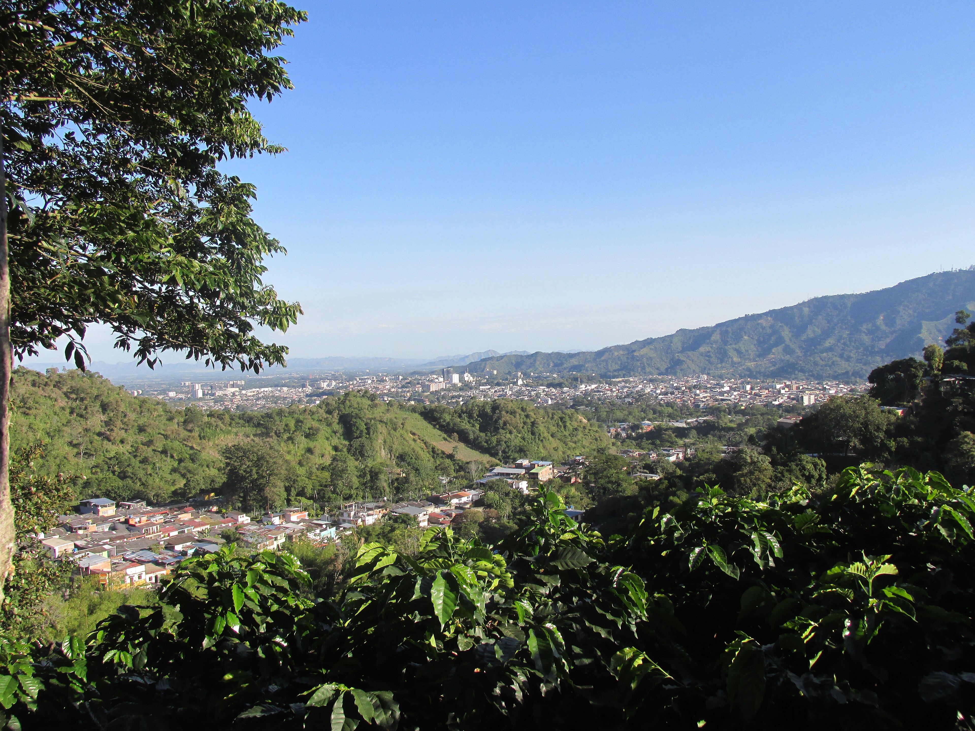 Ibague