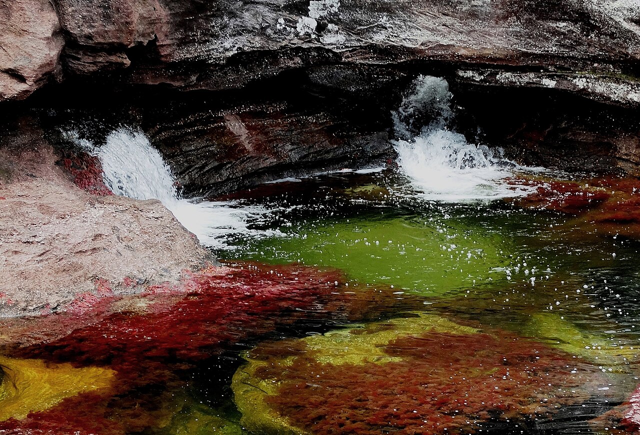 Cano Cristales (River of Five Colors)