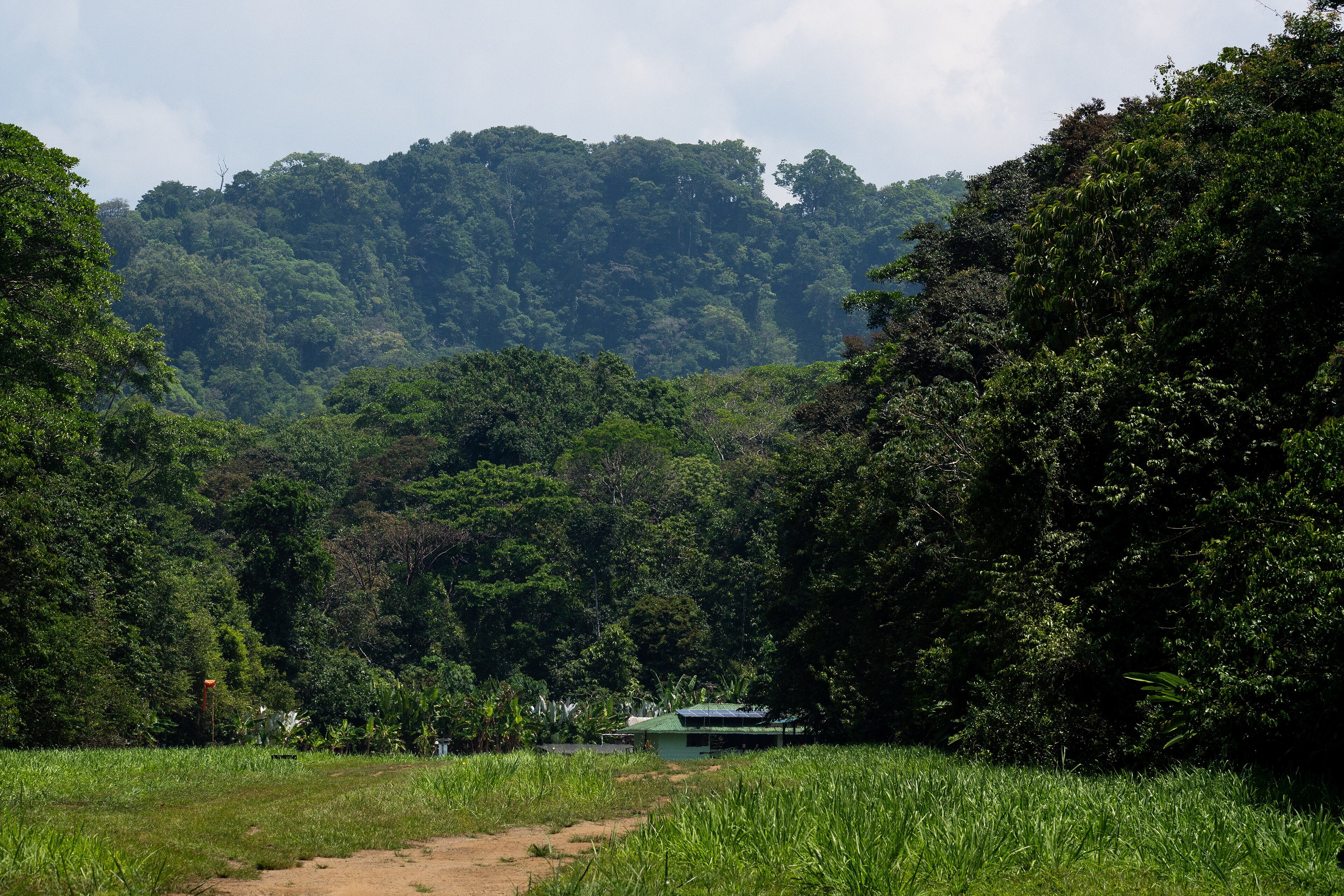 Corcovado National Park