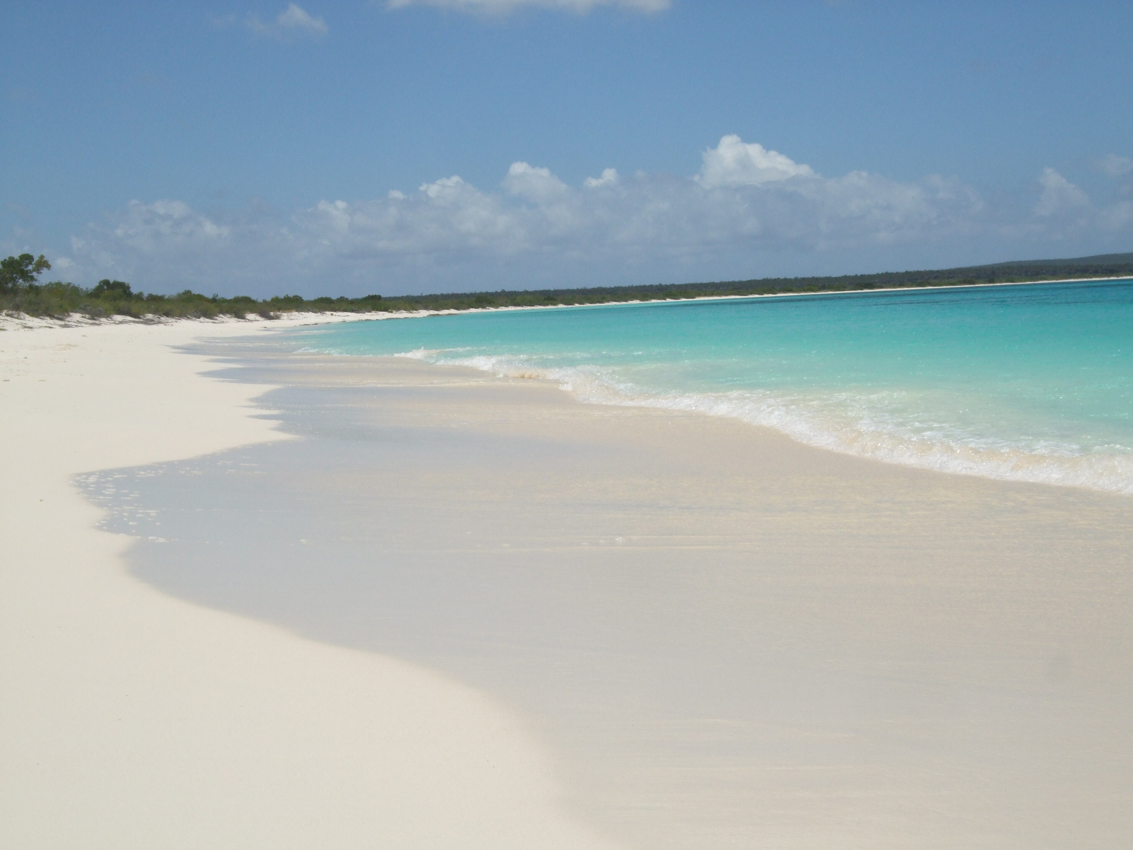 Bahia de las Aguilas