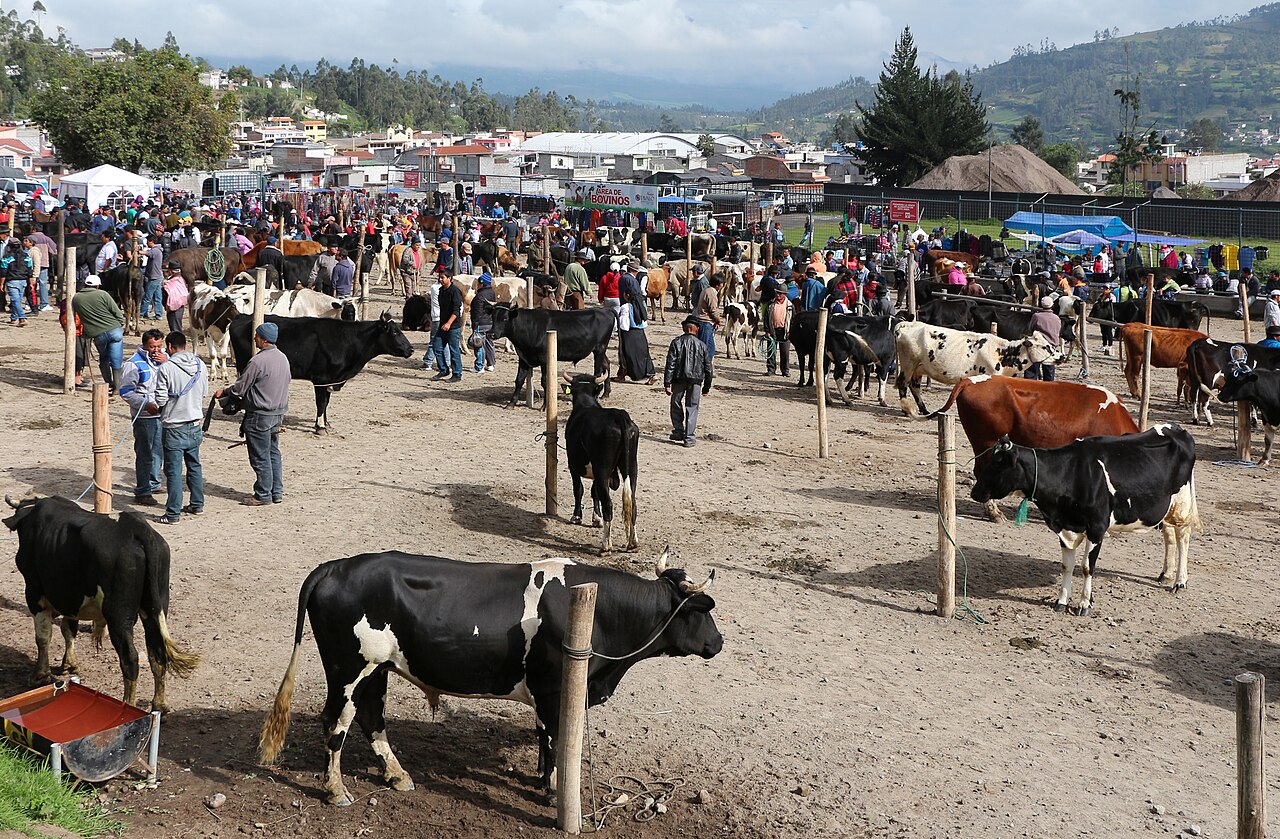 Otavalo Market