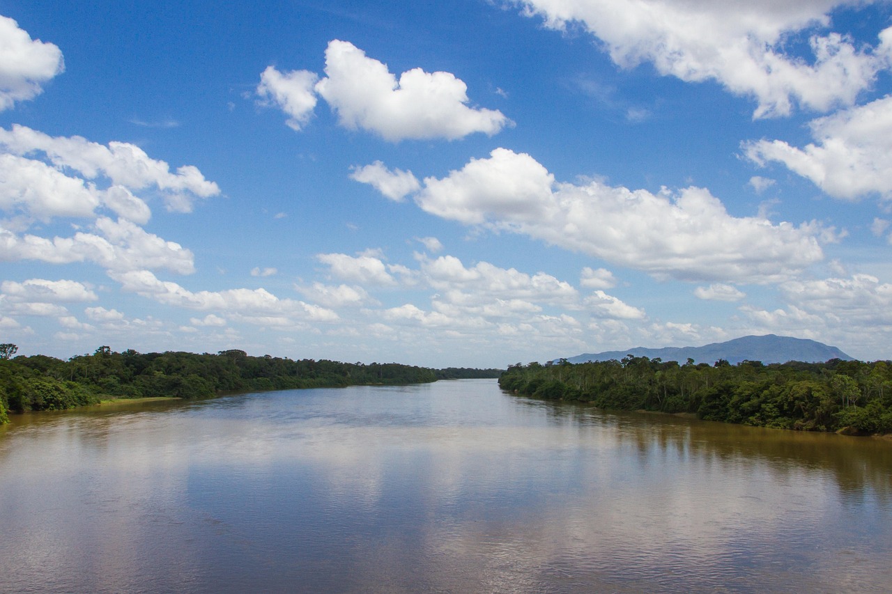 Yasuni Amazon Rainforest