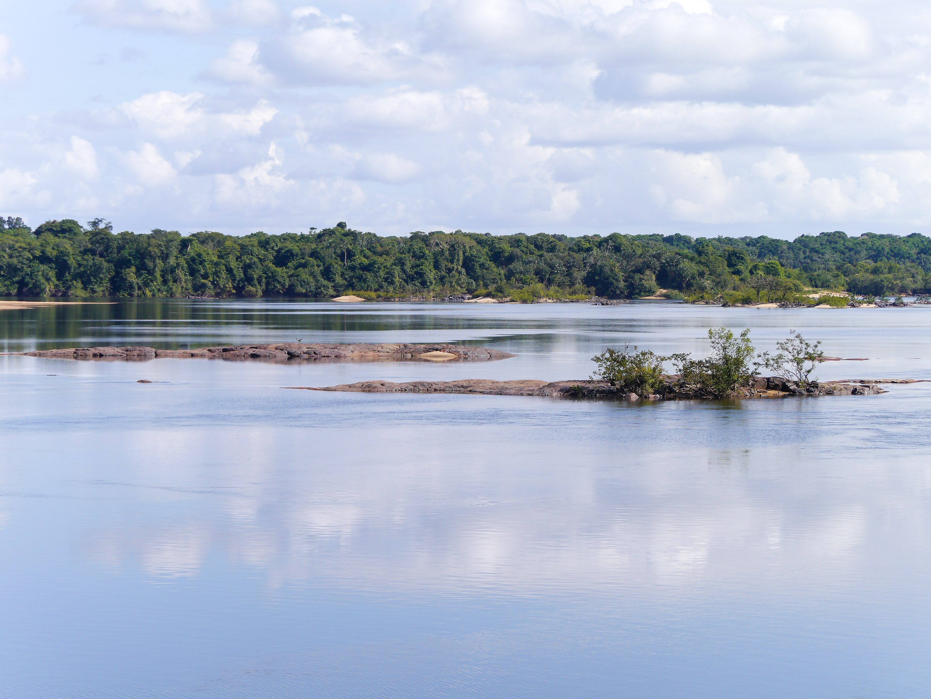 Iwokrama Rainforest