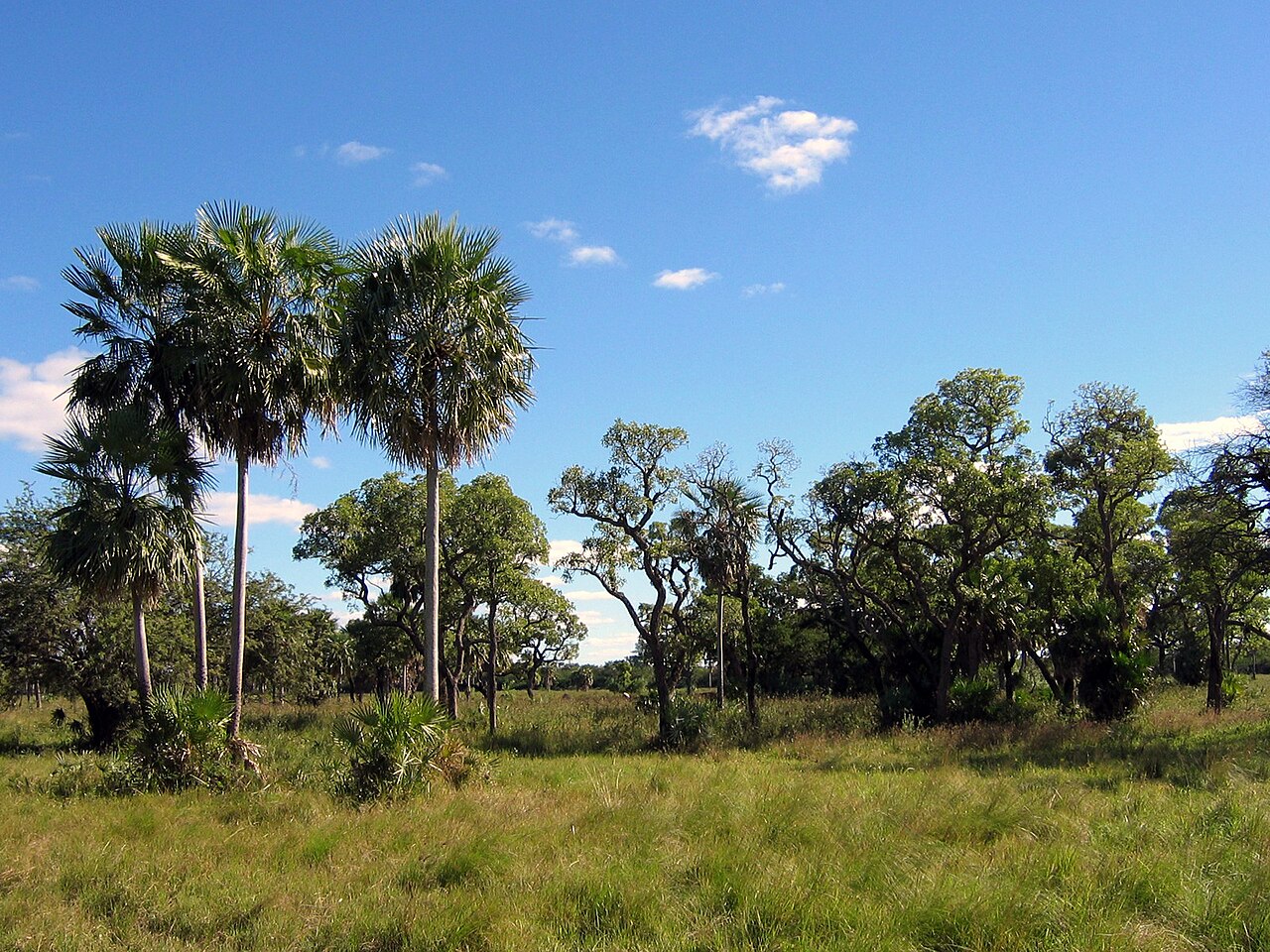 Defensores del Chaco National Park
