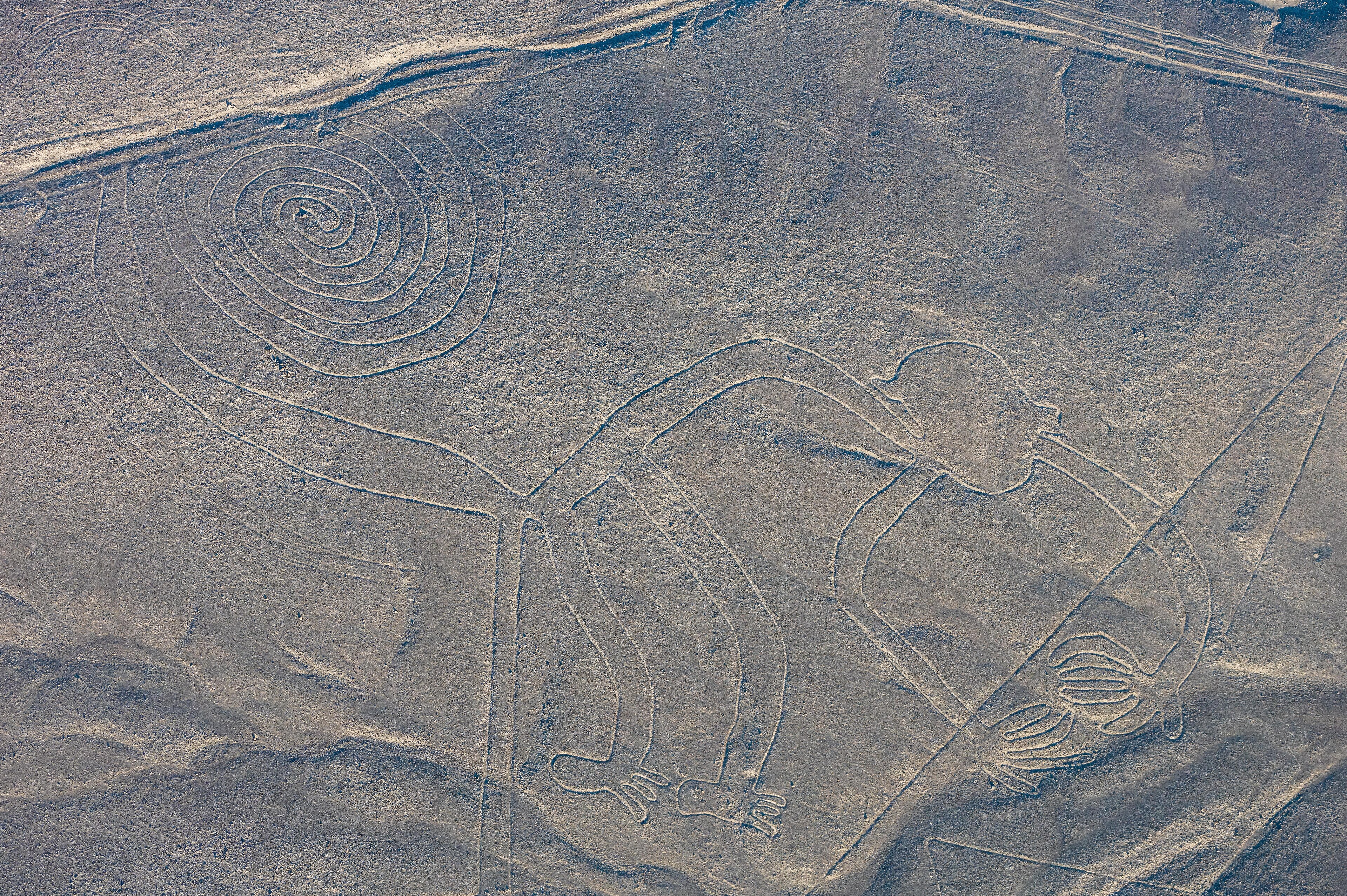 Nazca Lines