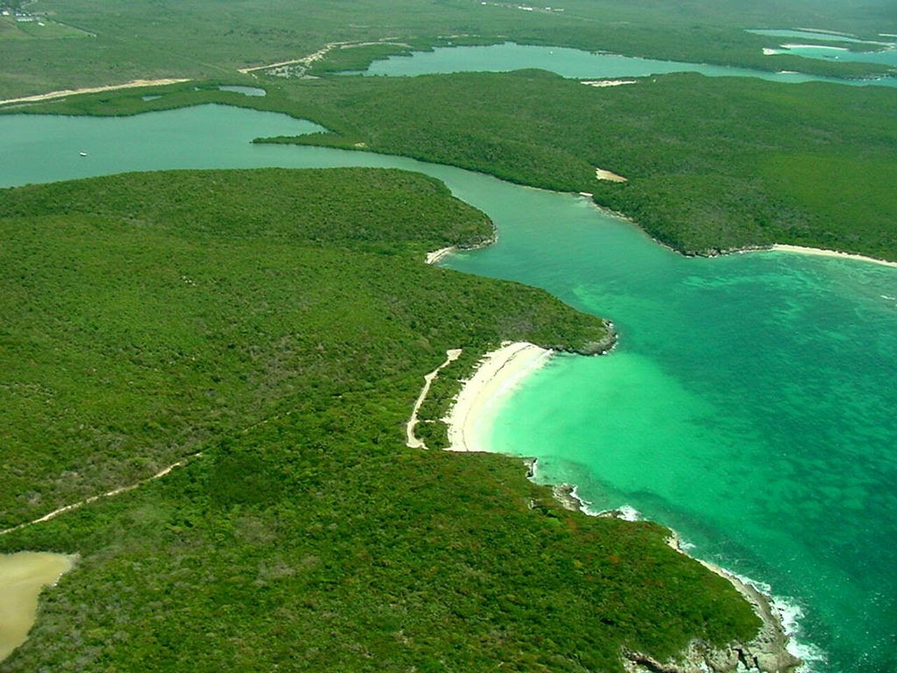 Mosquito Bay (Vieques)