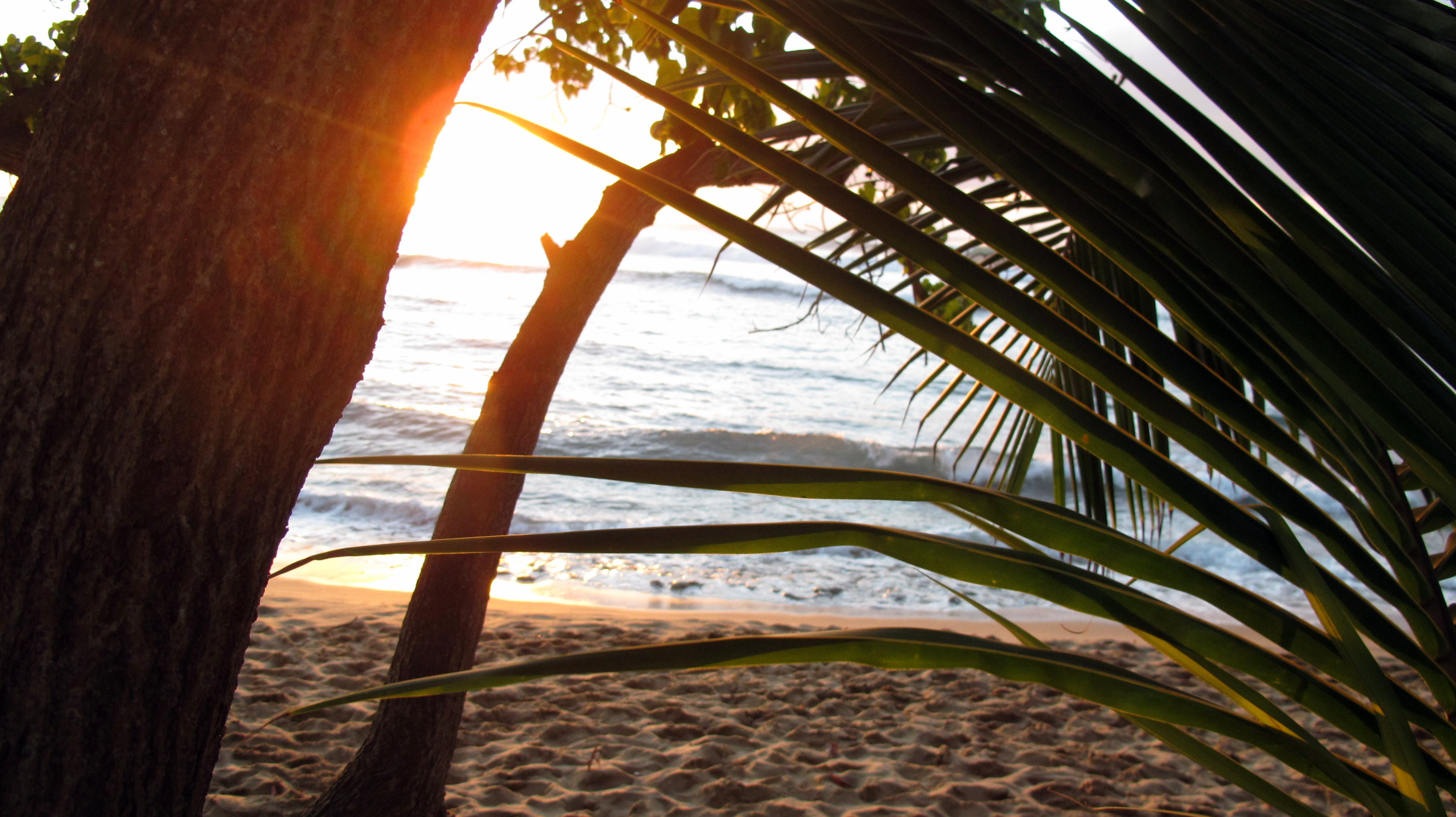 Rincon