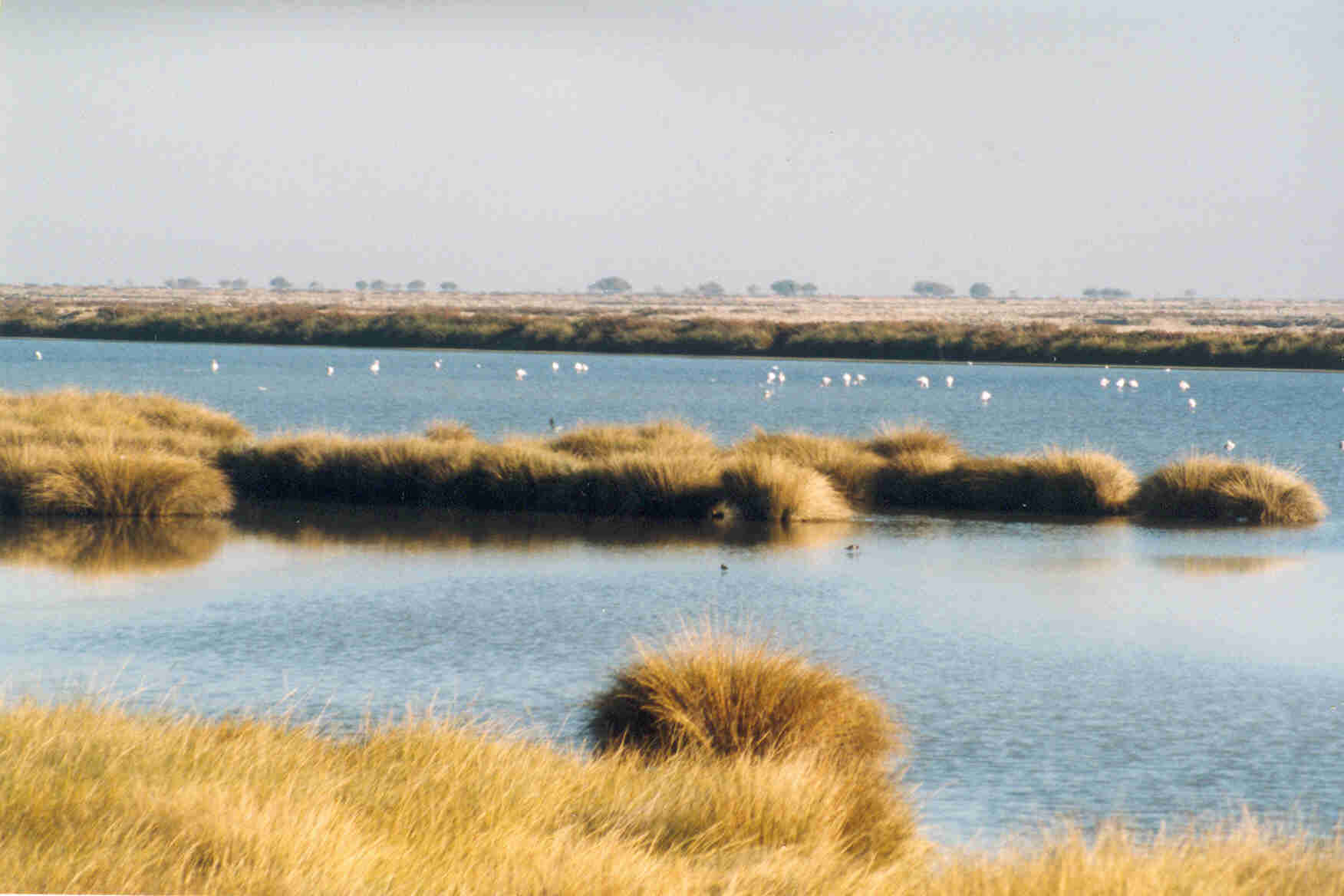 Donana National Park