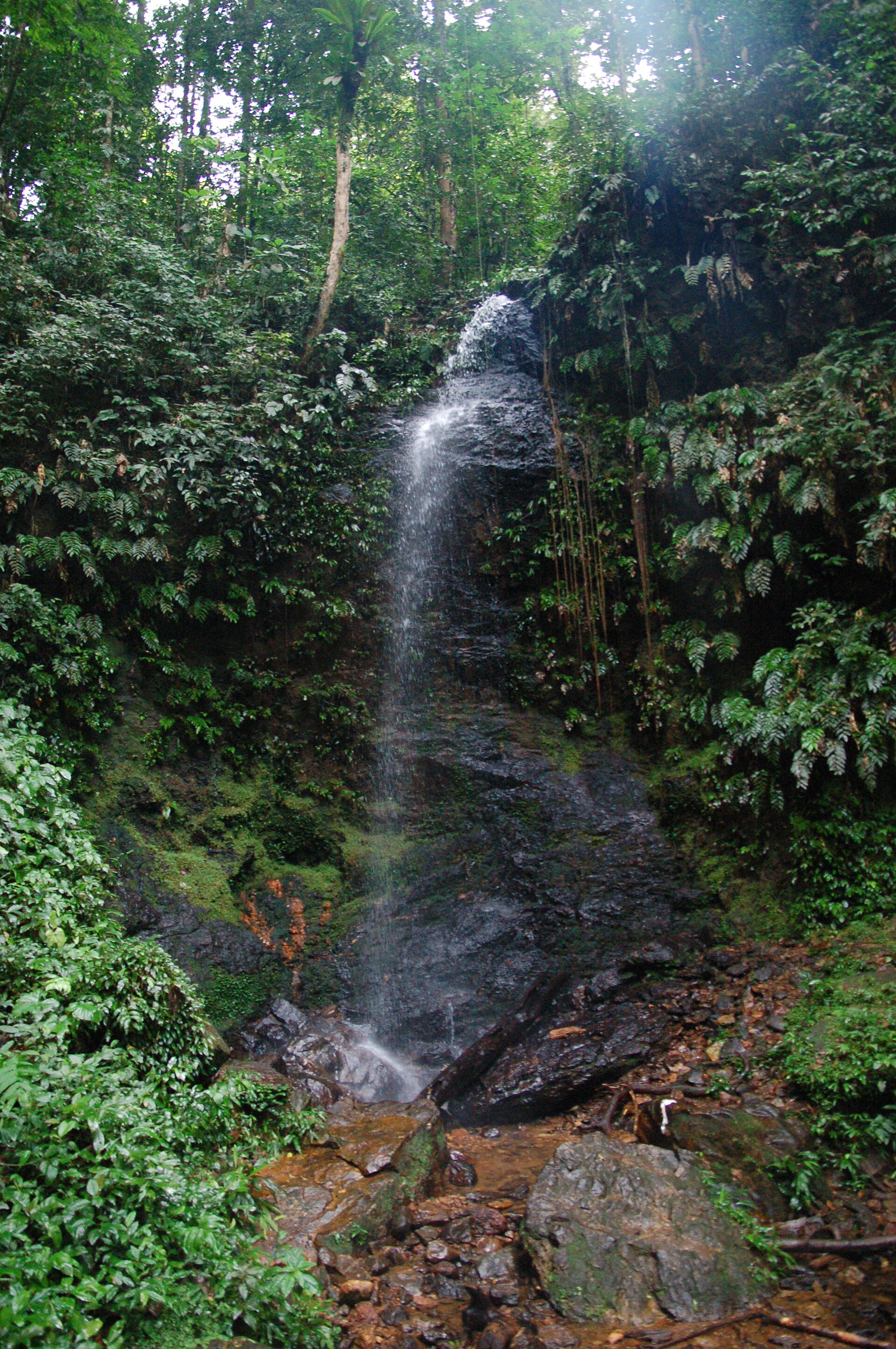 Brownsberg Nature Park