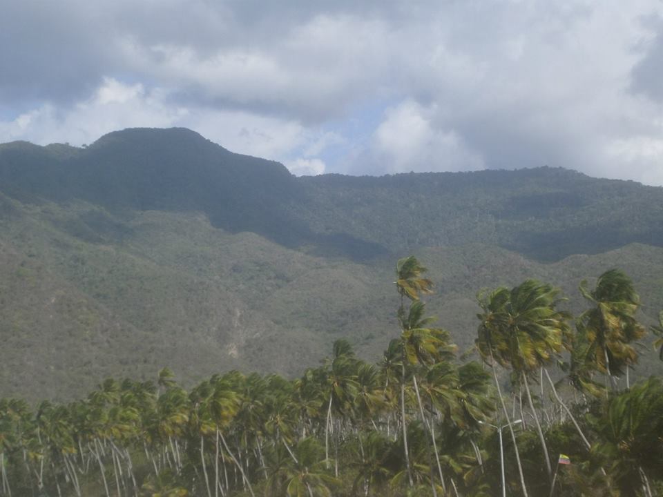 Choroni and Henri Pittier National Park