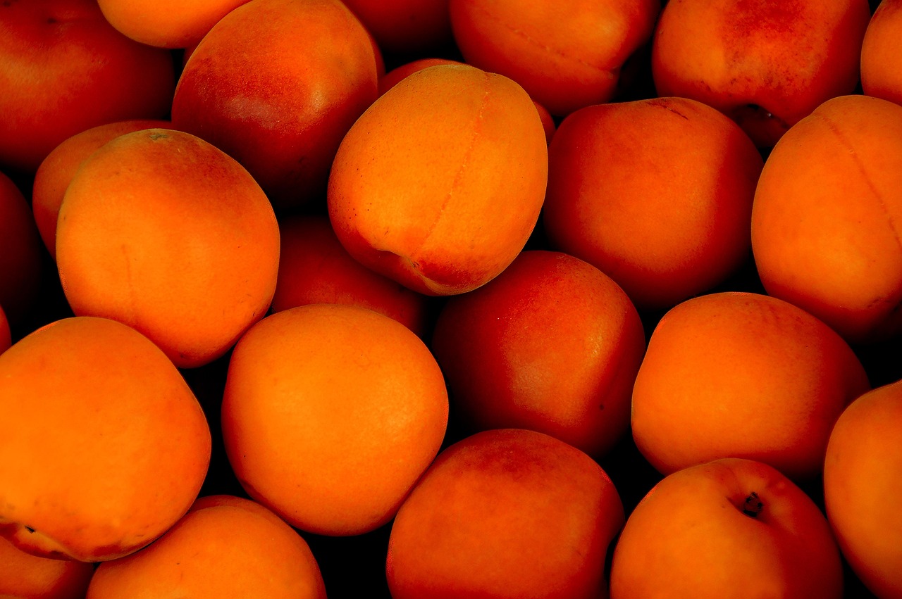 Apricot