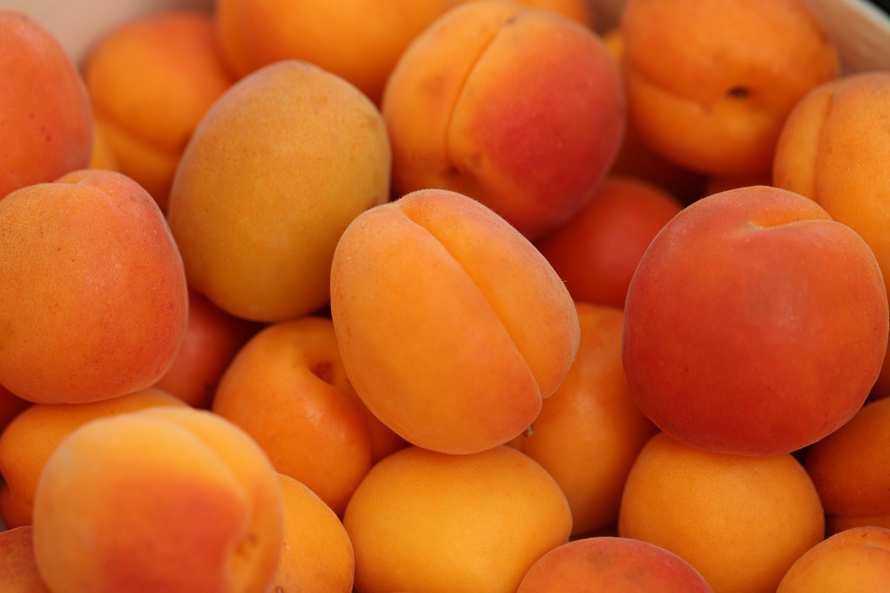 Apricot