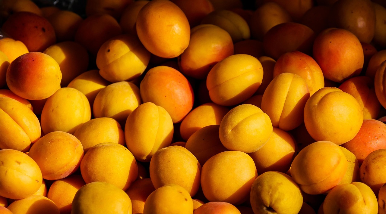 Apricot