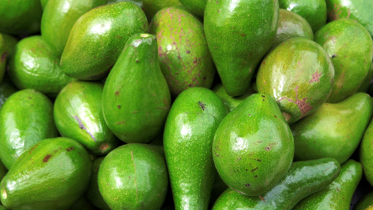 Avocado
