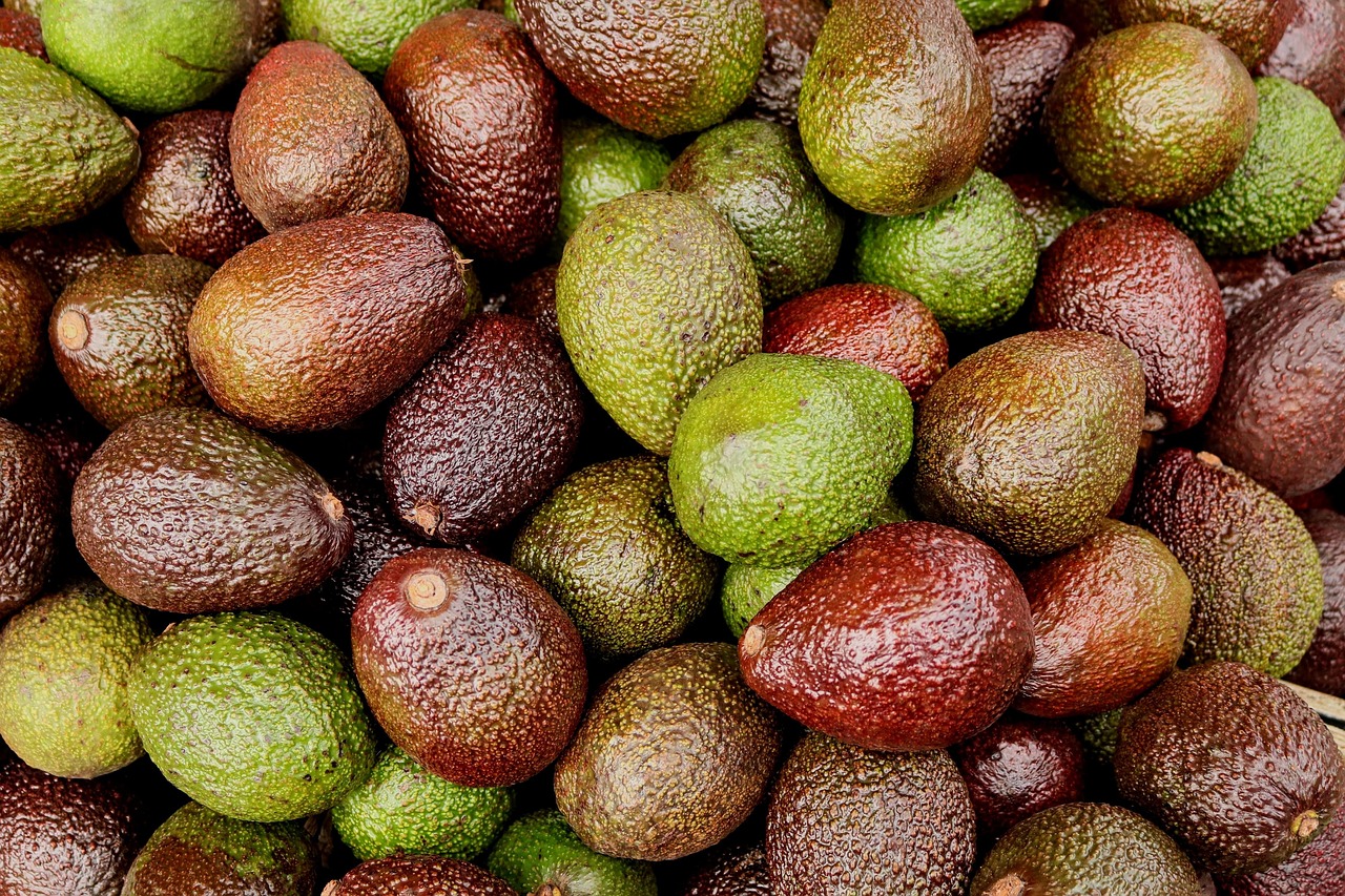 Avocado