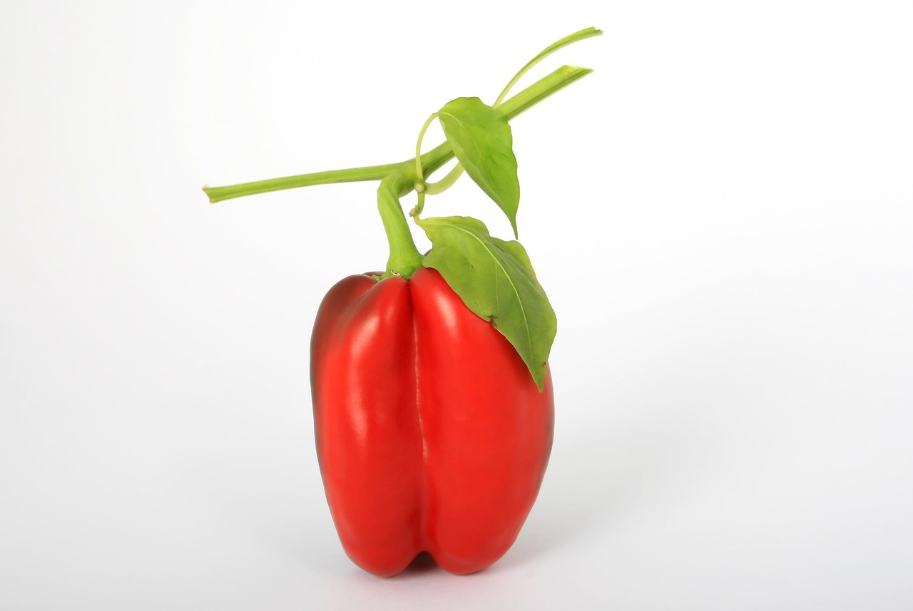 Bell Pepper