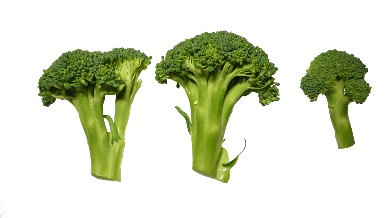 Broccoli