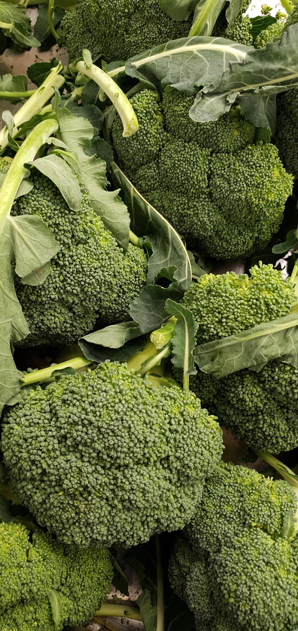 Broccoli