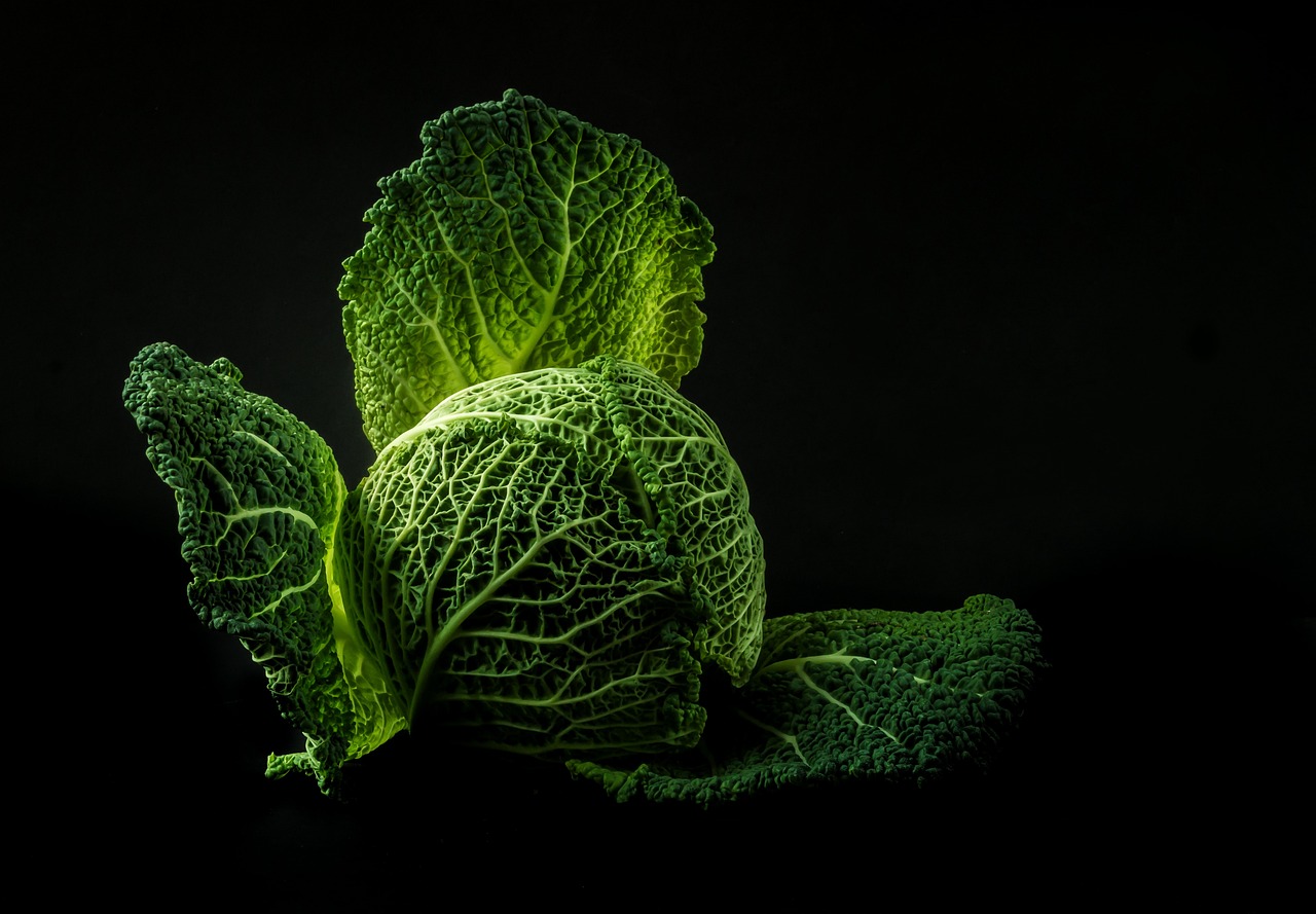 Cabbage