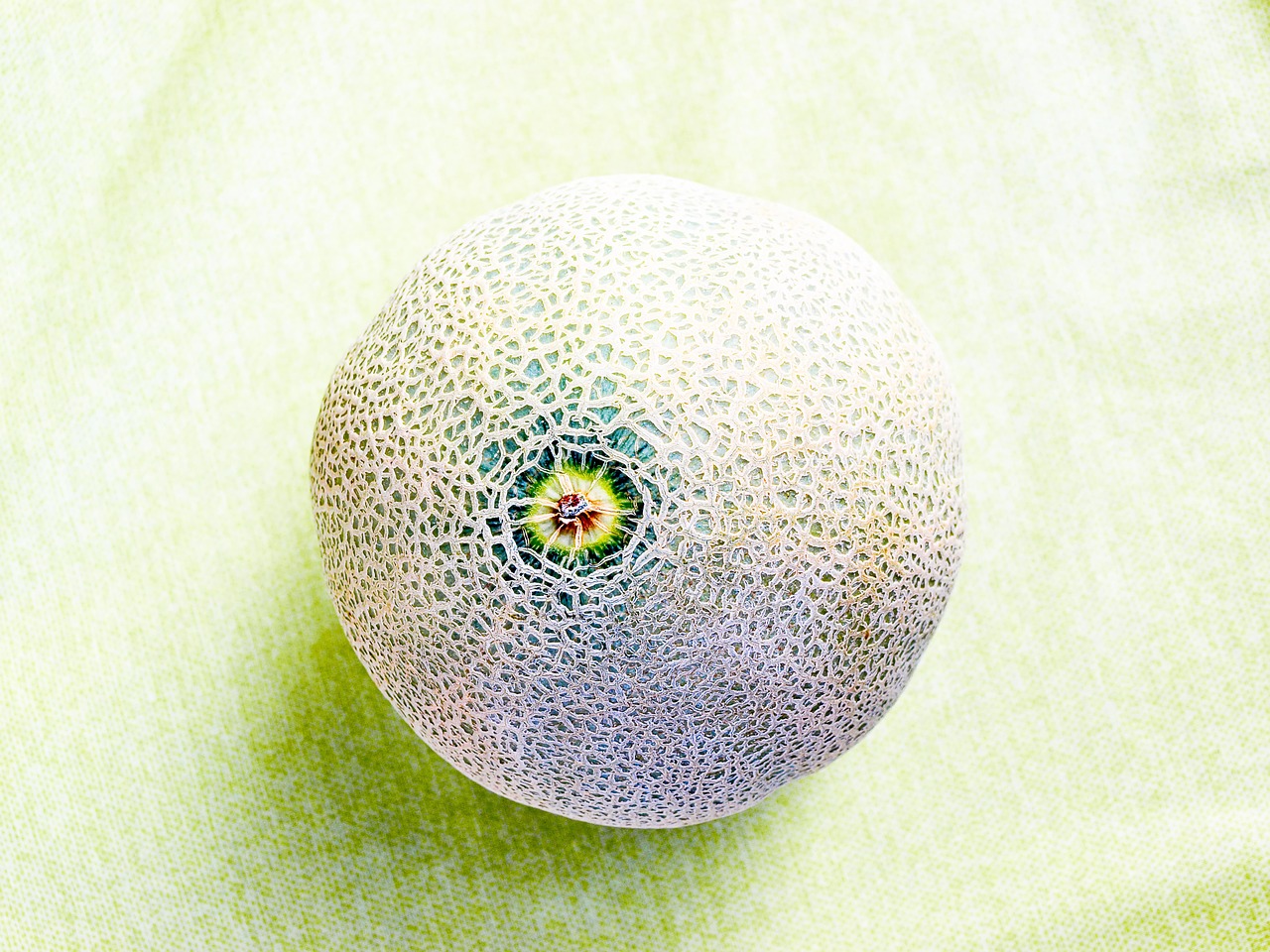 Cantaloupe