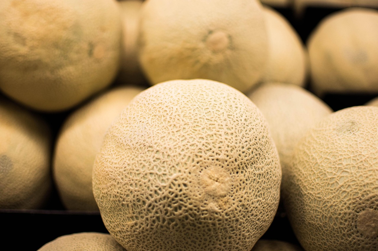 Cantaloupe