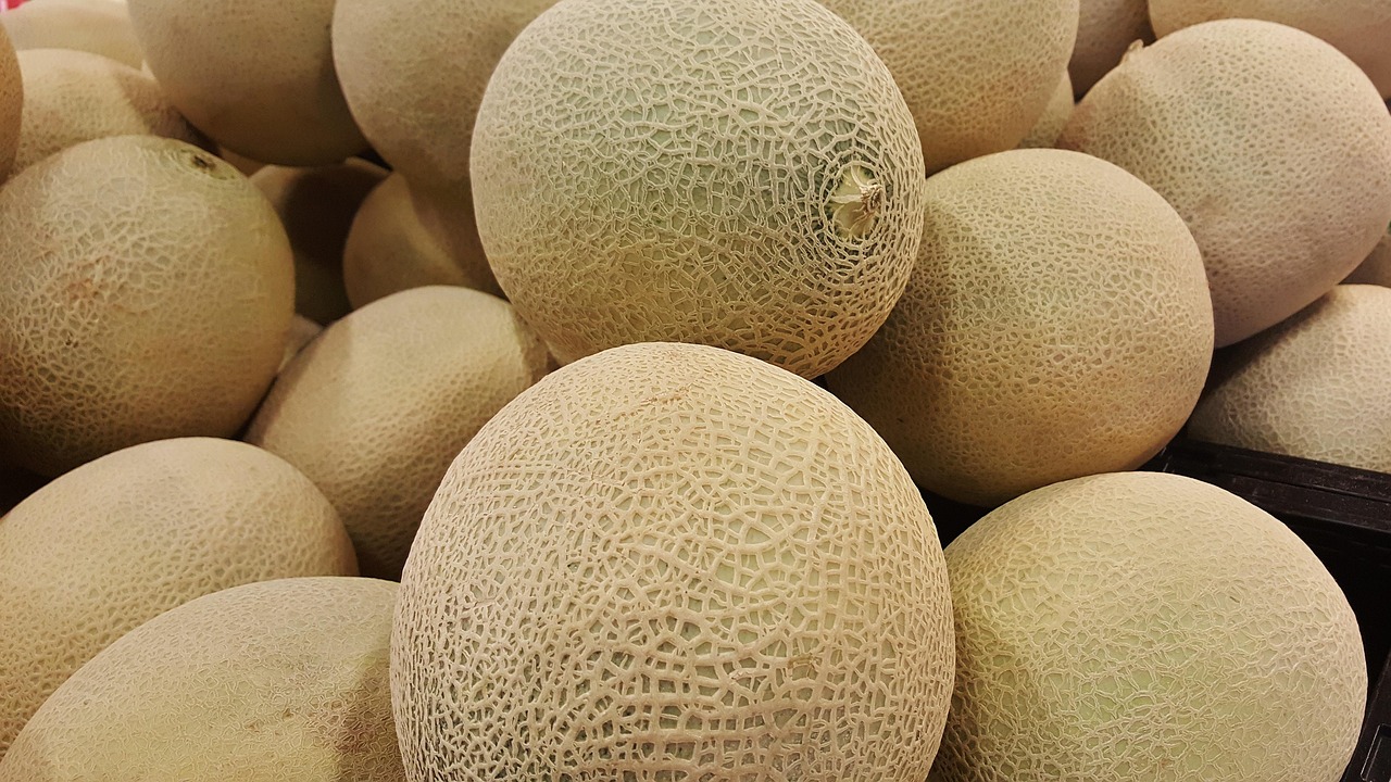 Cantaloupe