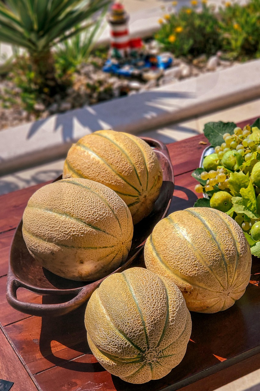 Cantaloupe