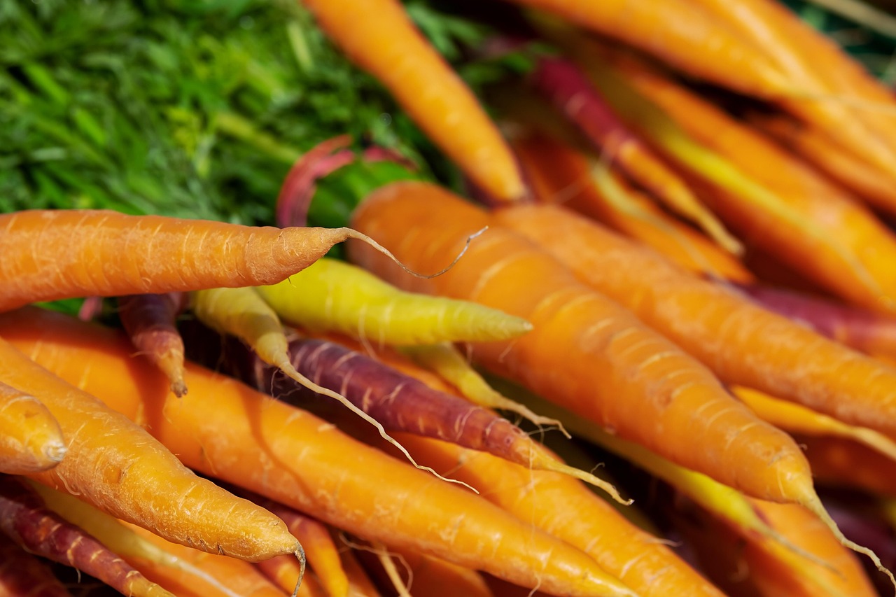 Carrot