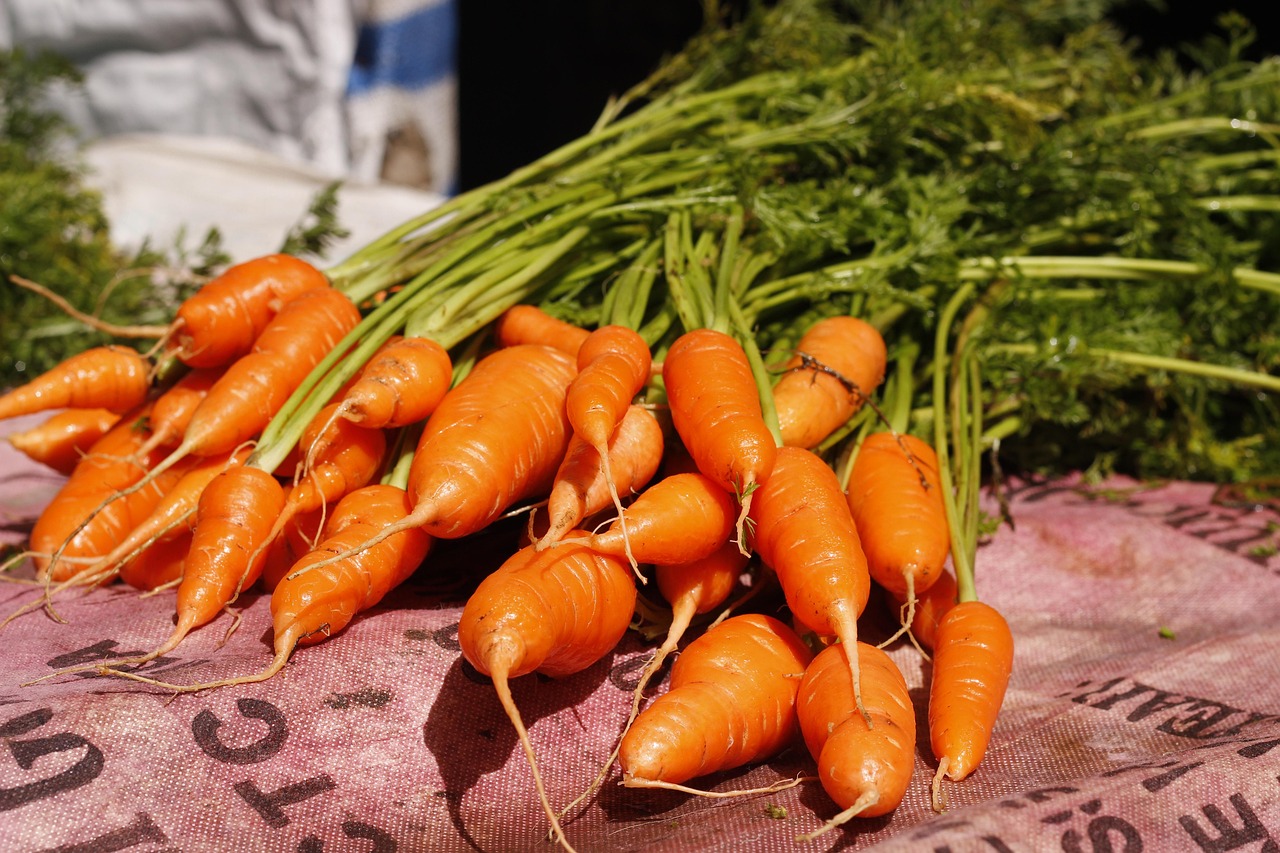 Carrot