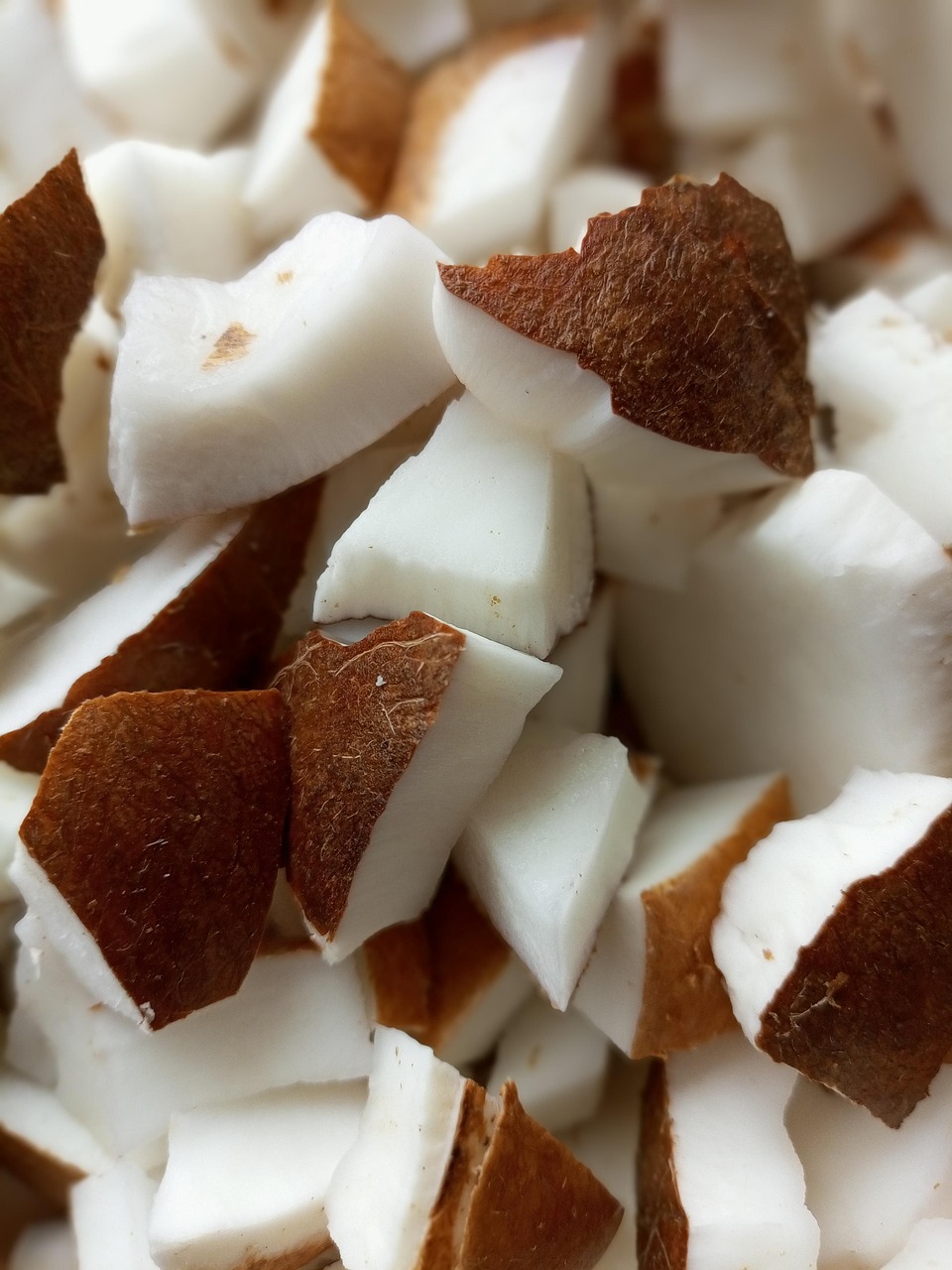Coconut