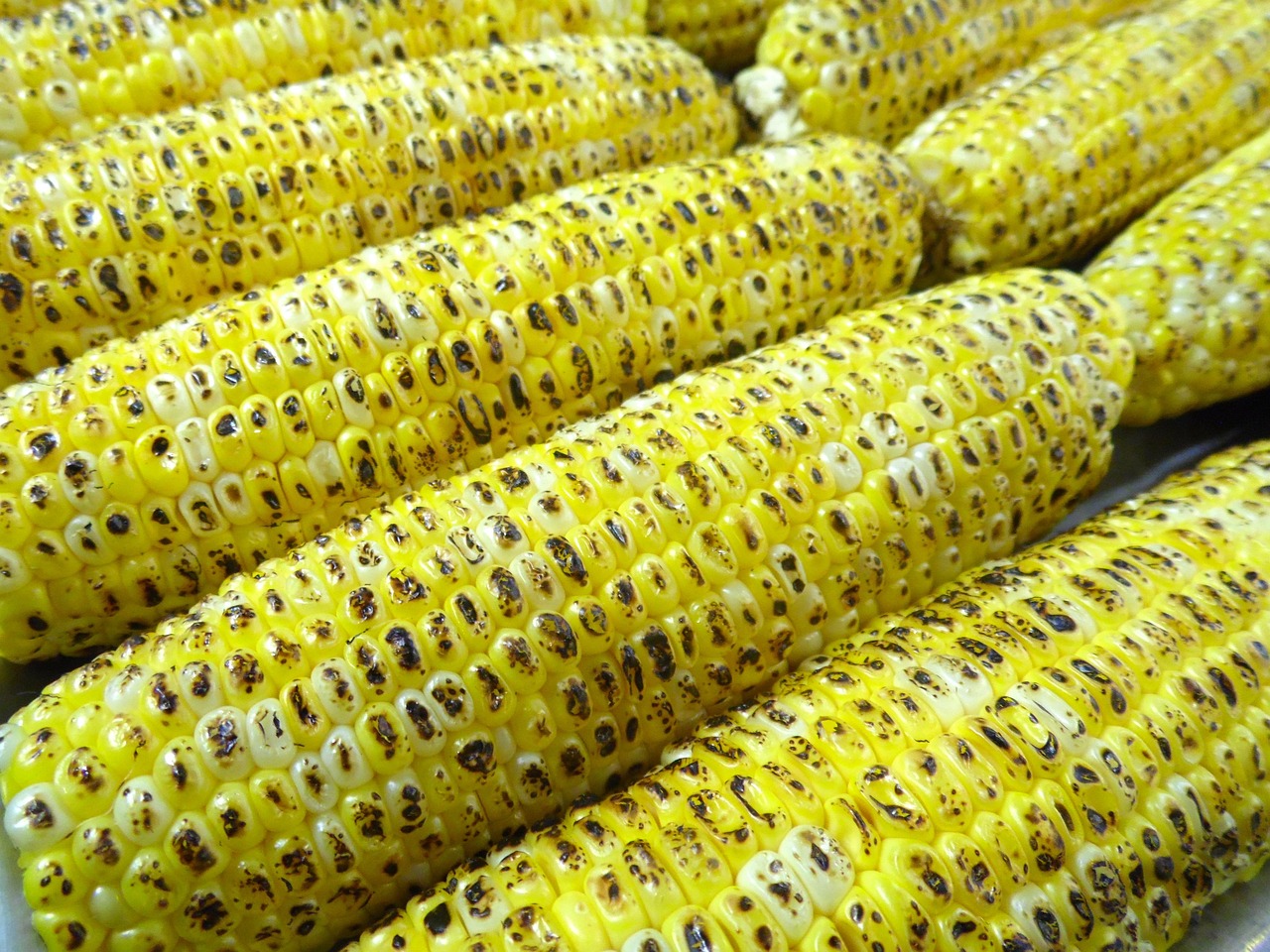 Corn