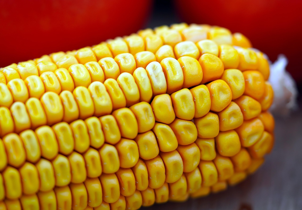 Corn