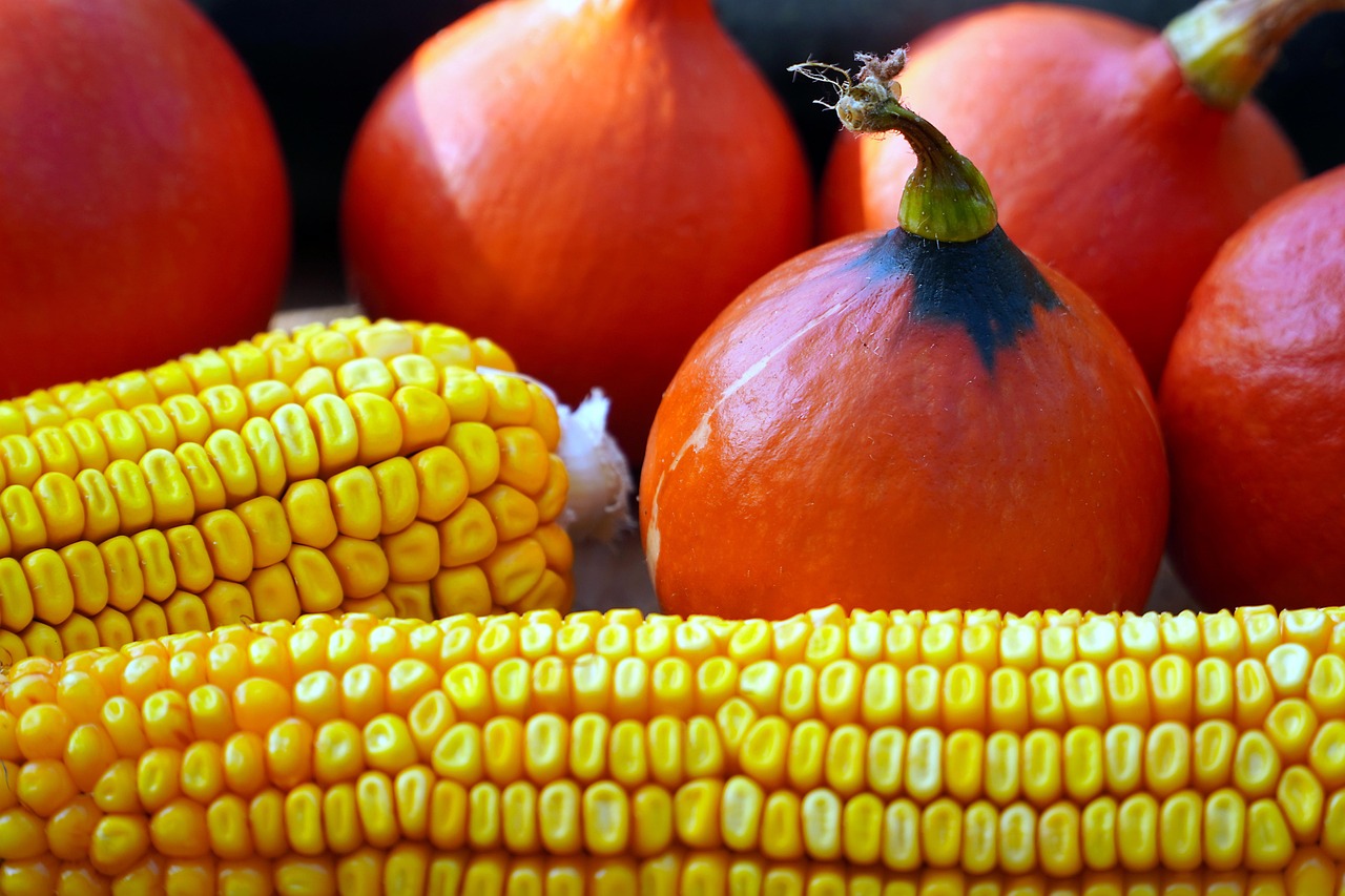 Corn