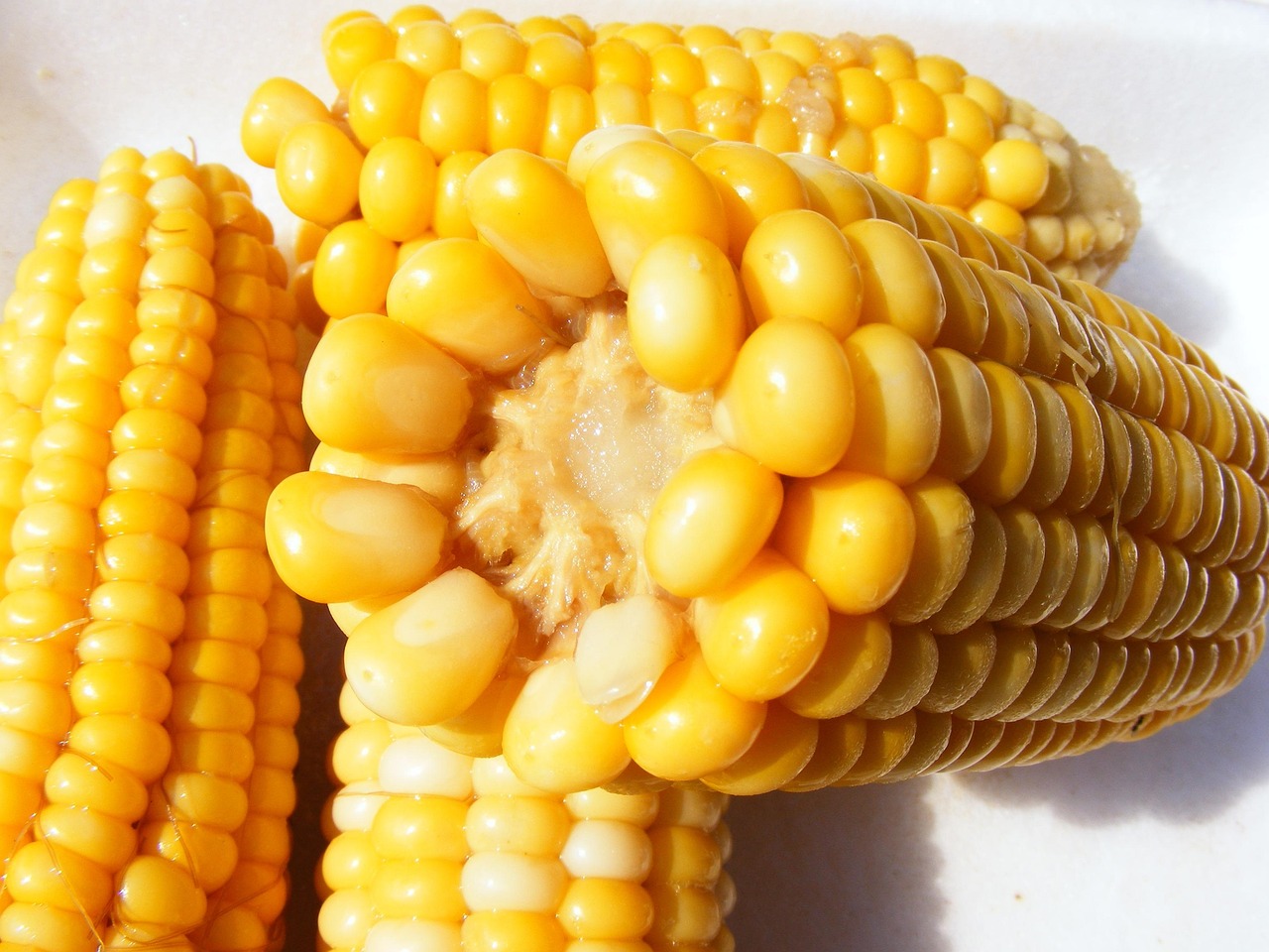 Corn