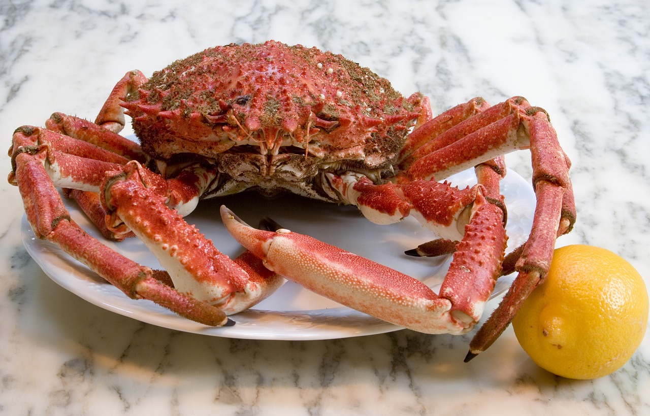 Crab