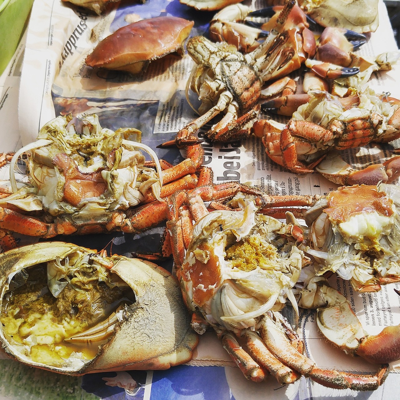 Crab