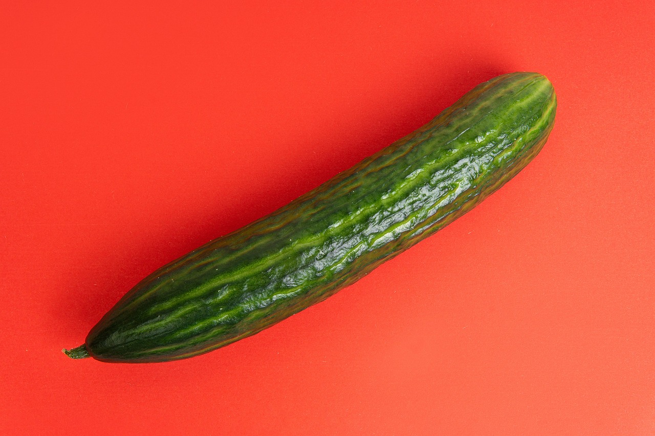 Cucumber