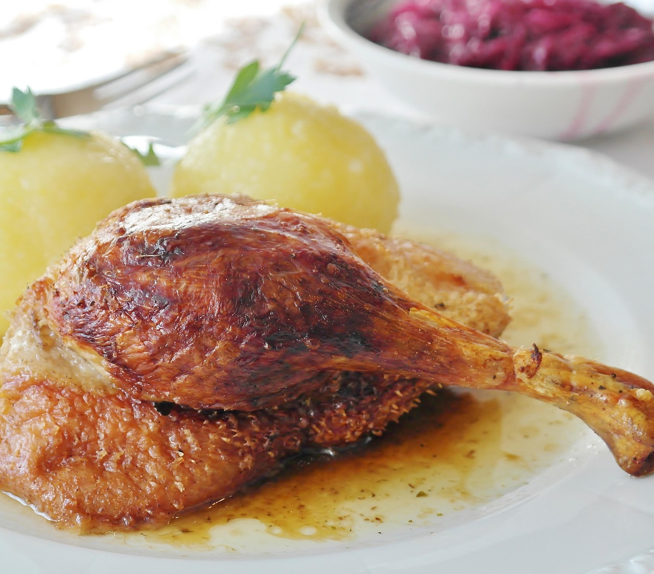 Duck