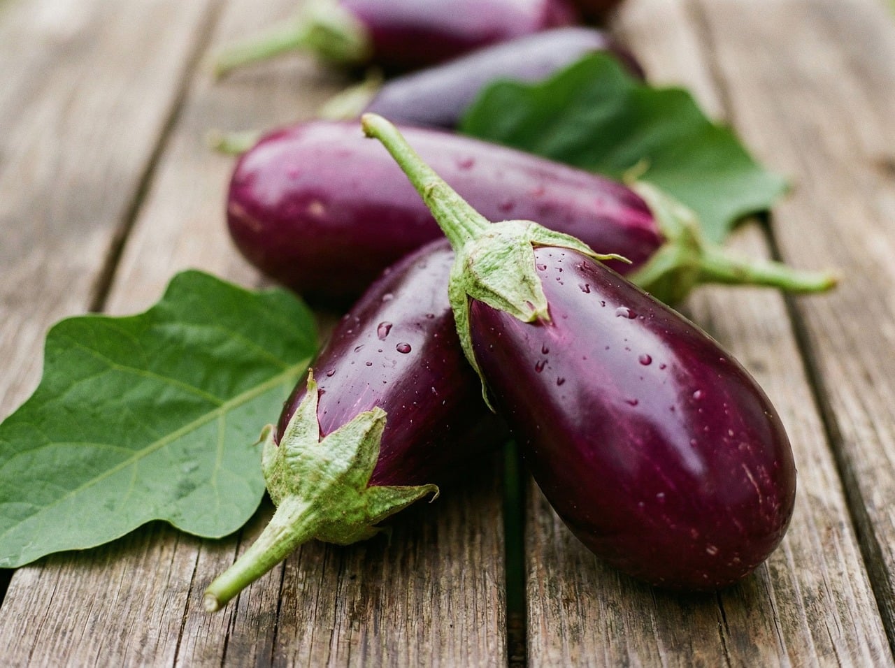 Eggplant