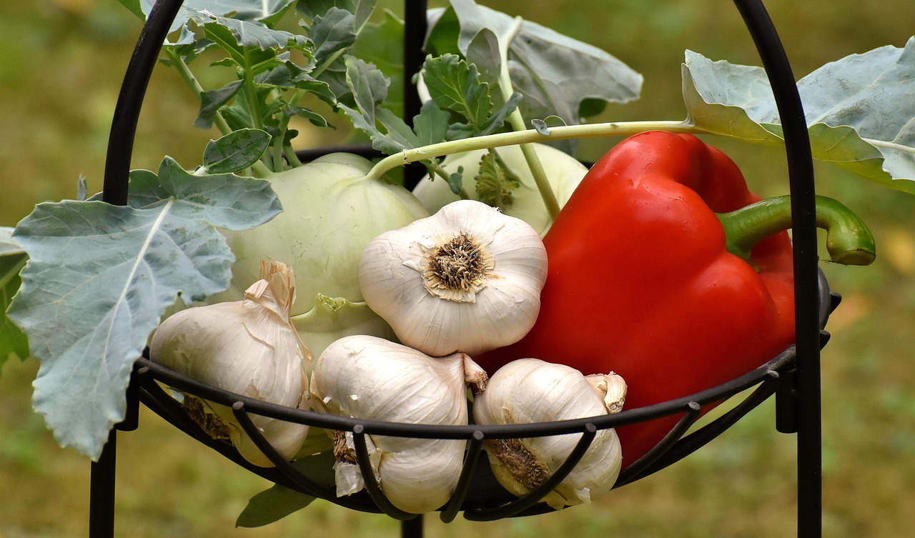 Garlic