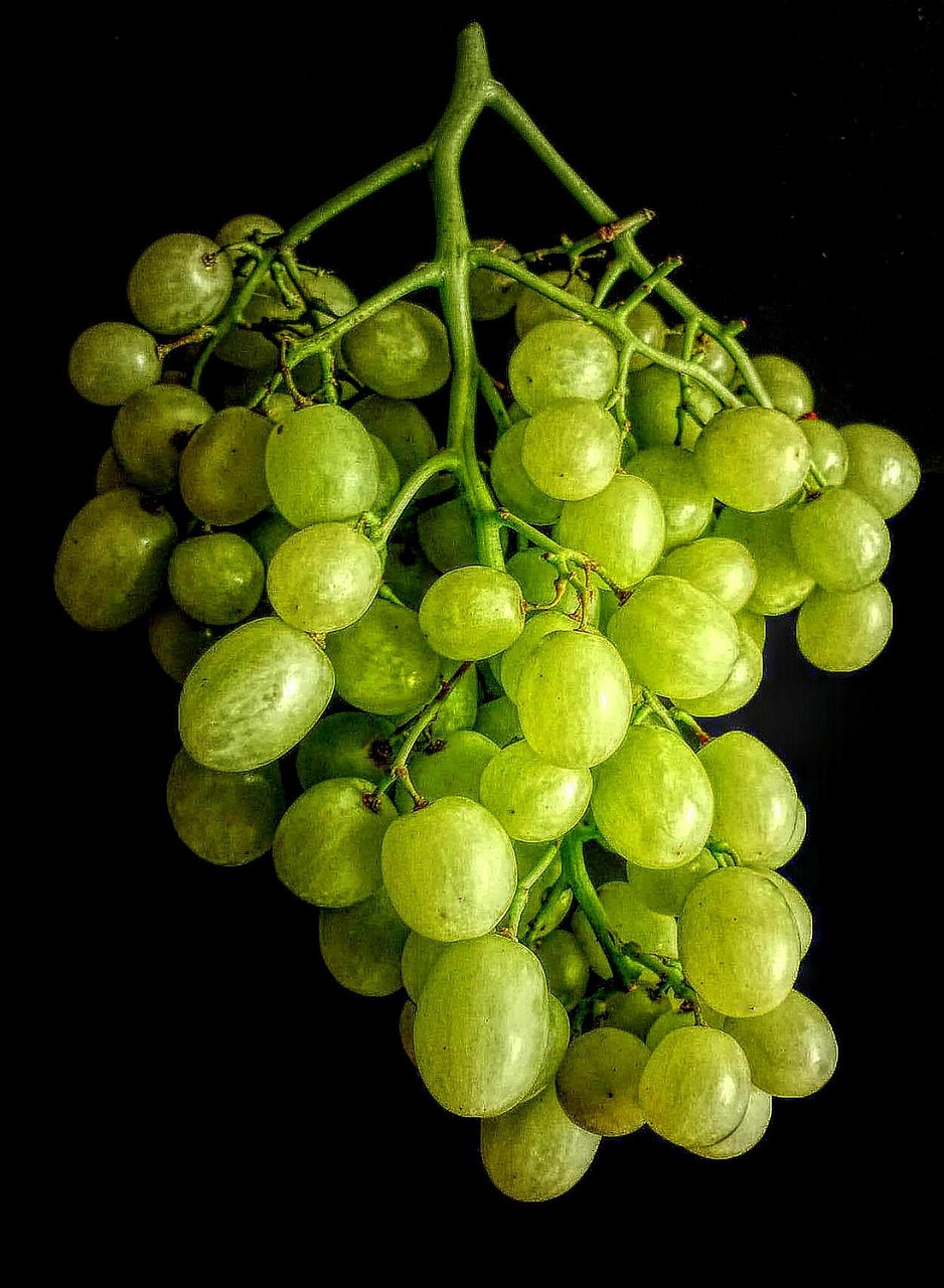 Grapes