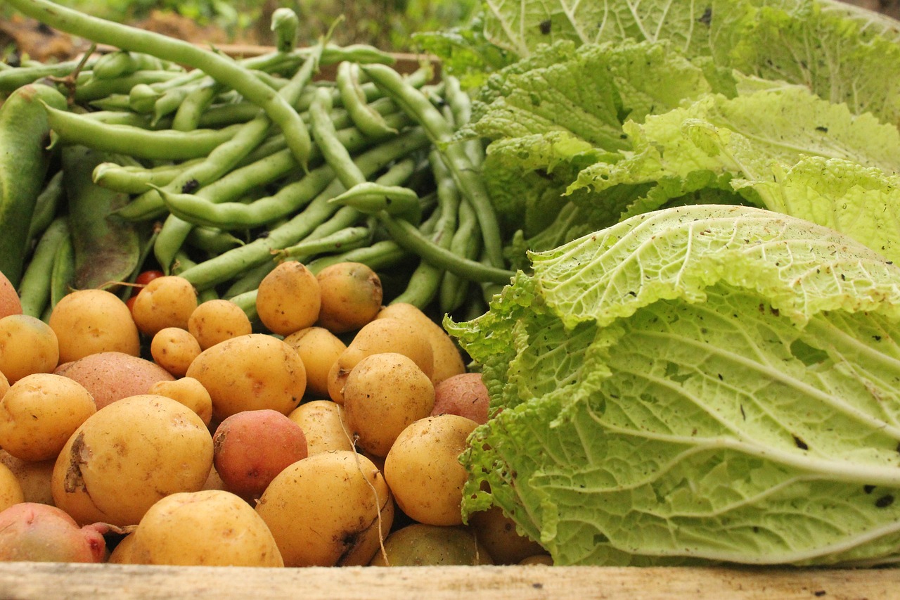 Green Beans