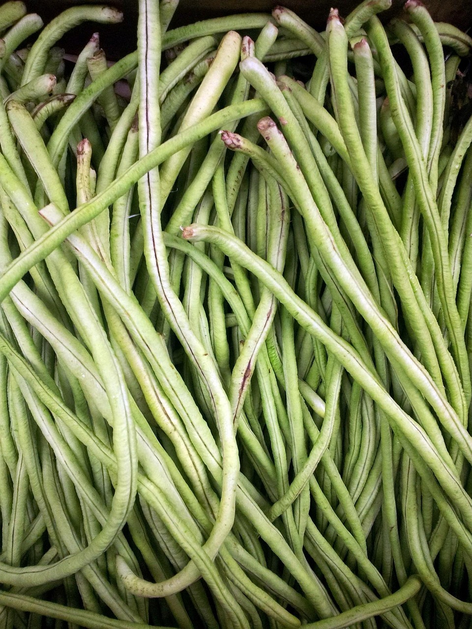 Green Beans