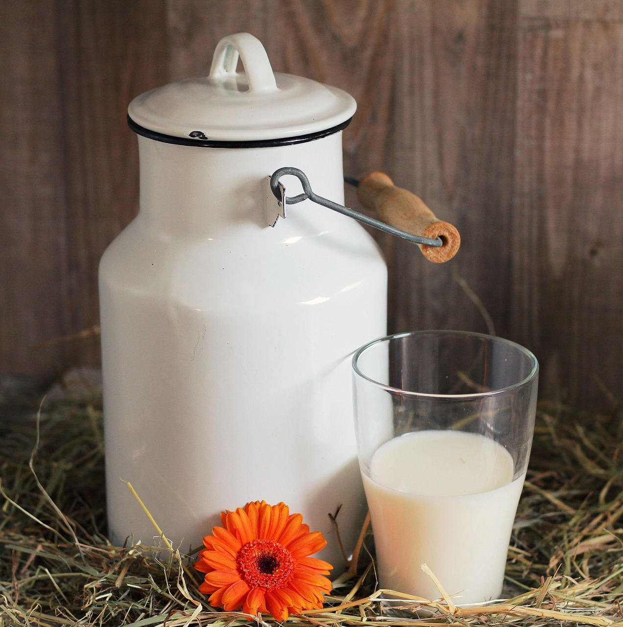 Milk