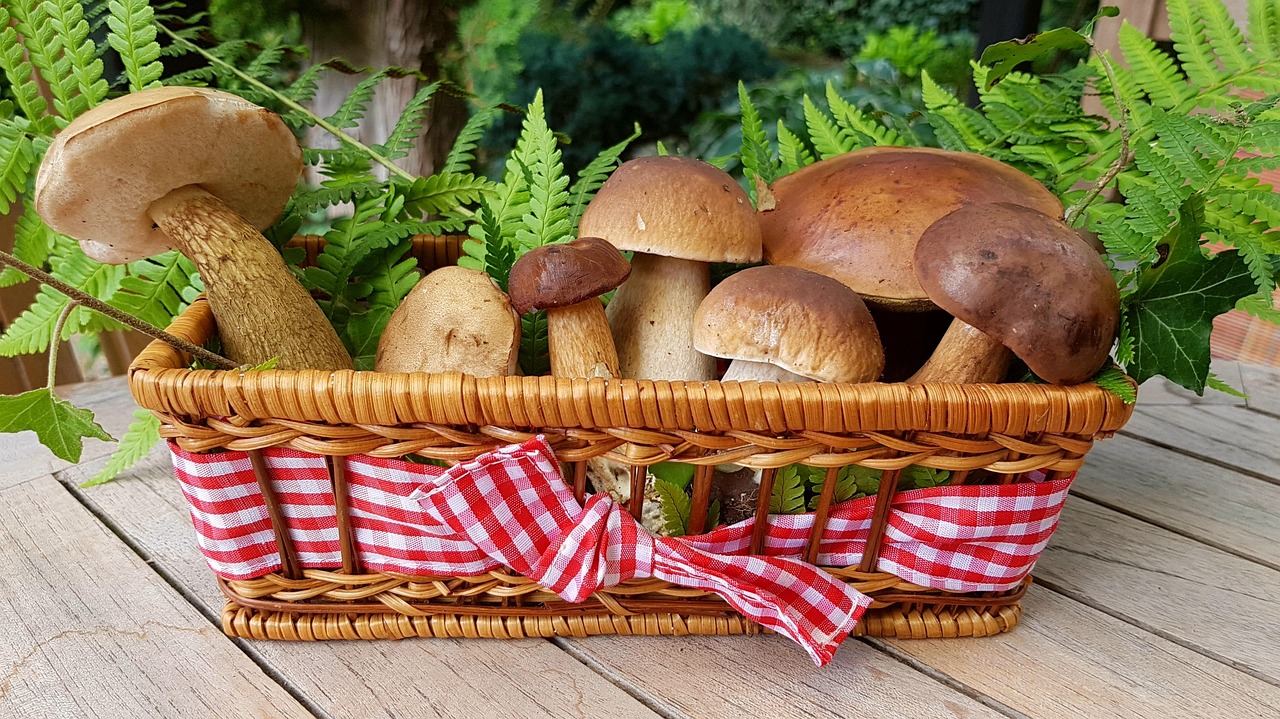 Mushroom