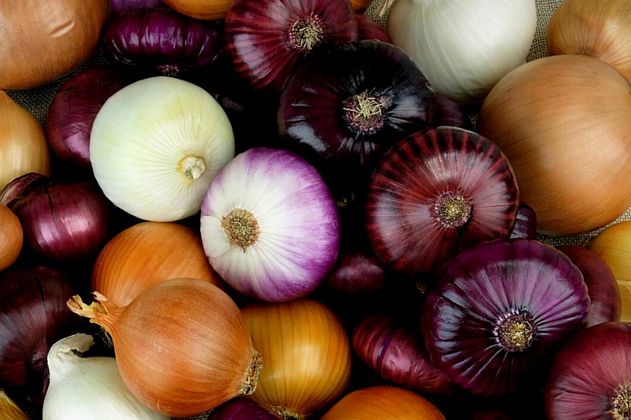 Onion